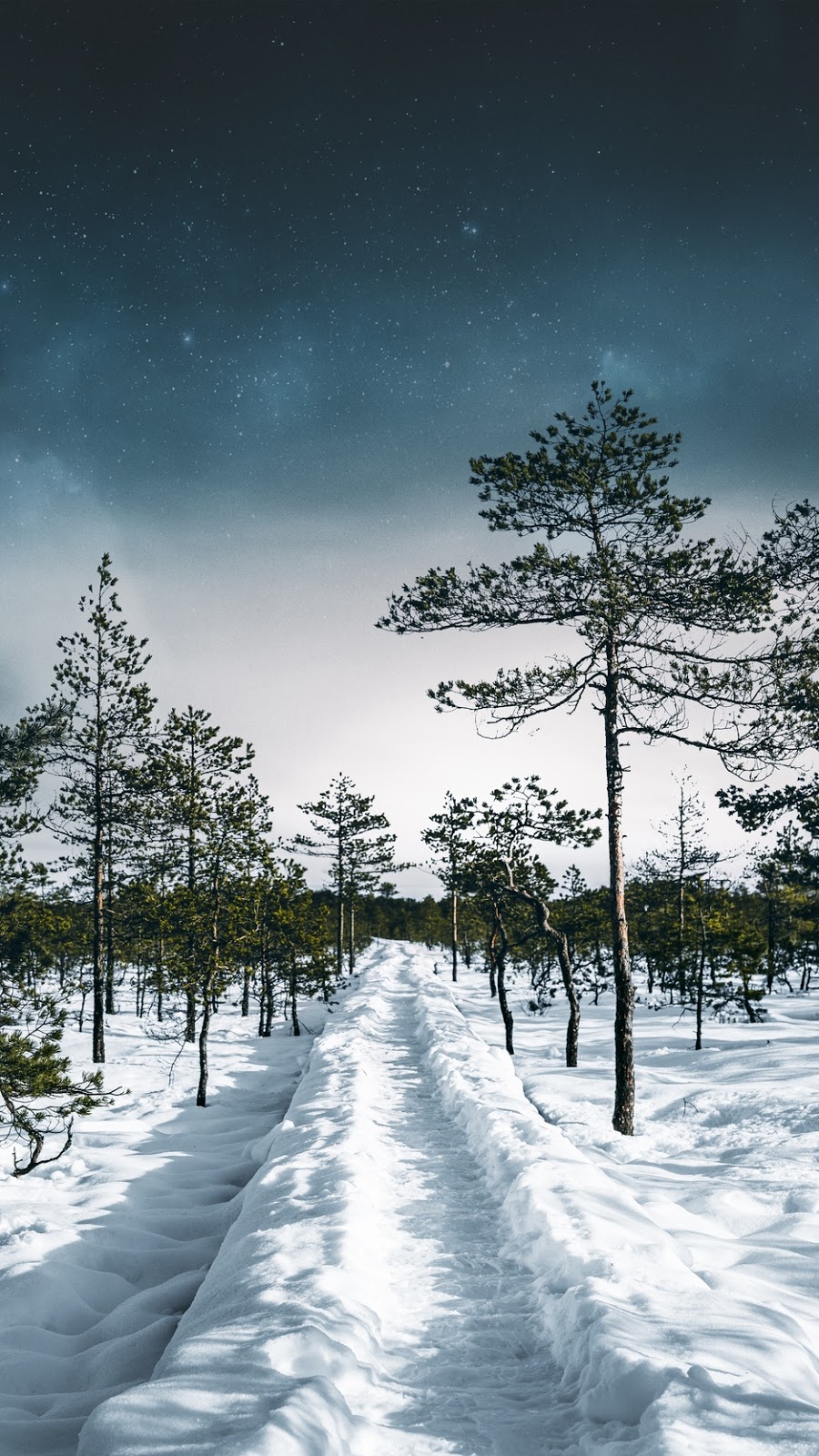 Snow Wallpaper 4k iPhone Winter 2020