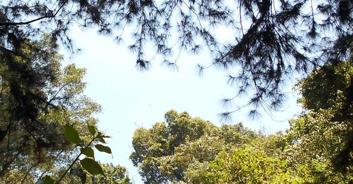 Mengapa Langit Berwarna Biru Dan Awan Berwarna Putih Mas Vian