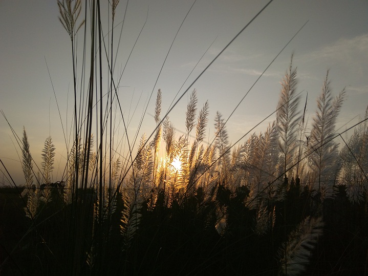 Primo NX4 Mini camera sample 2