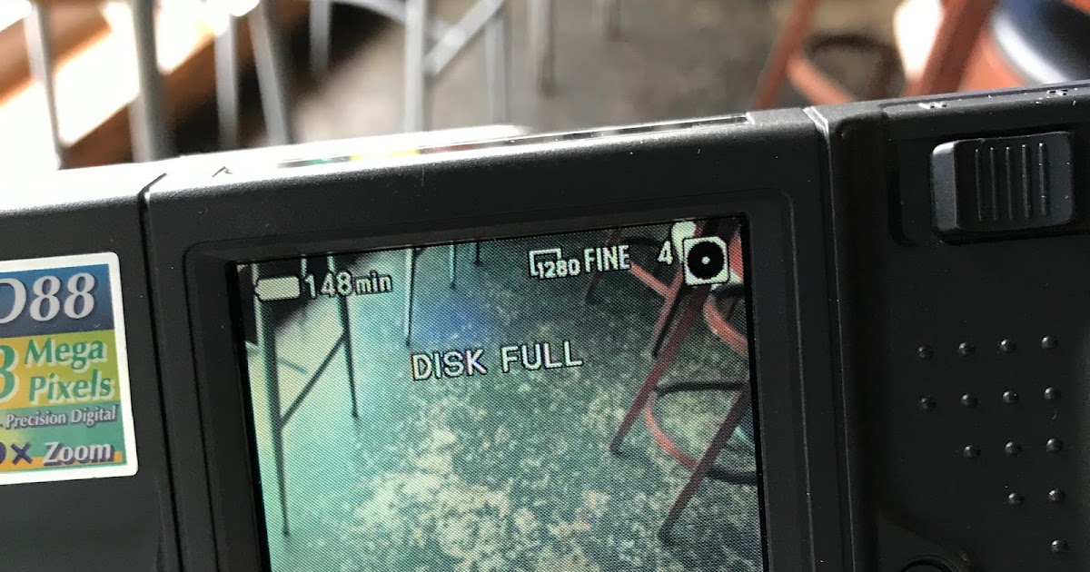 Digital Fossils Space and Resolution