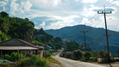 On the way down to the tea plantation