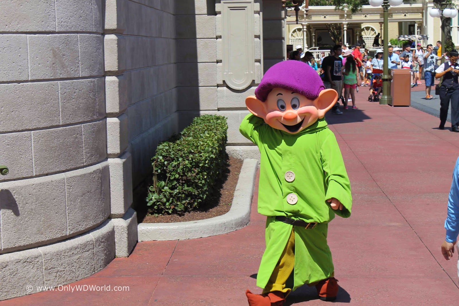 18 Disney World Character Greetings That Don't Cost Extra at the Magic