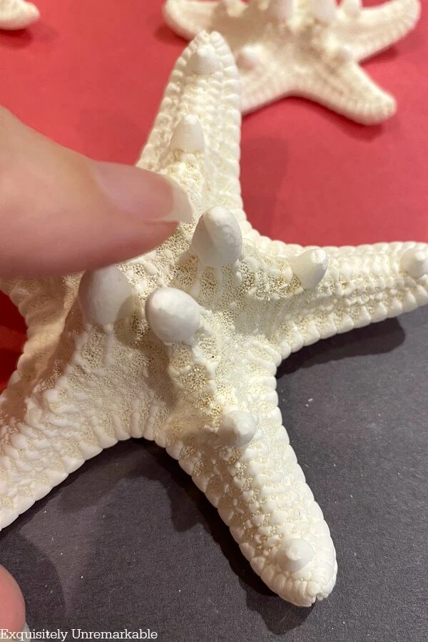 Prongs On Starfish