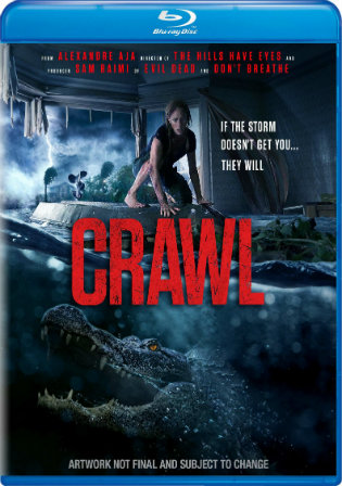 Crawl 2019 BRRip 300MB Hindi Dual Audio ORG 480p ESub