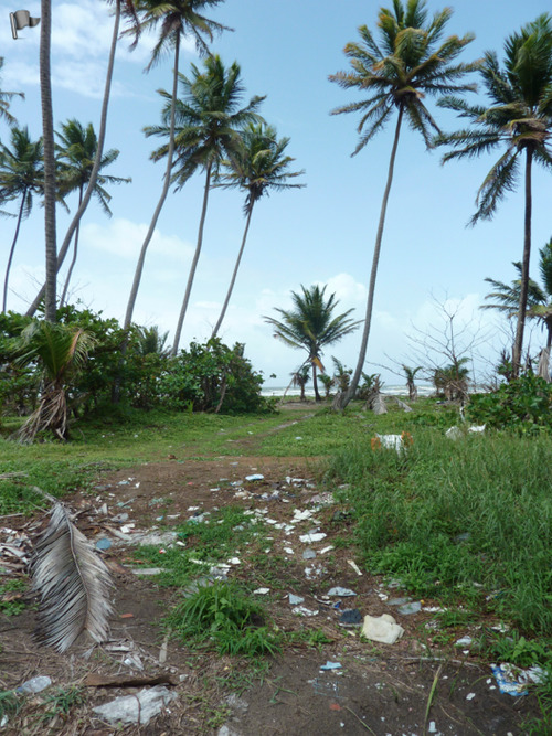 Plastic Pollution in Trinidad and Tobago
