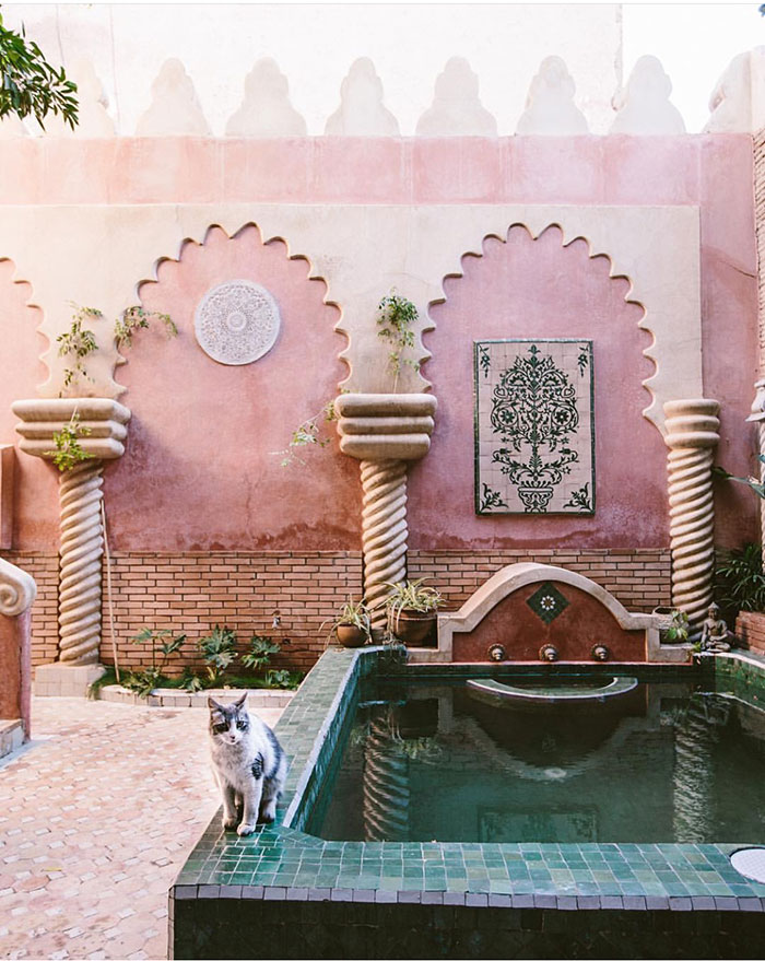 Décor: Bohemian Romantic Interiors from the Portfolio of Photographer Carley Page Summers