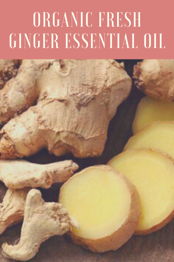 Organic Fresh Ginger Essential Oil