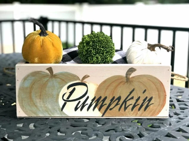 Painted pumpkin sign and orange and white pumpkin