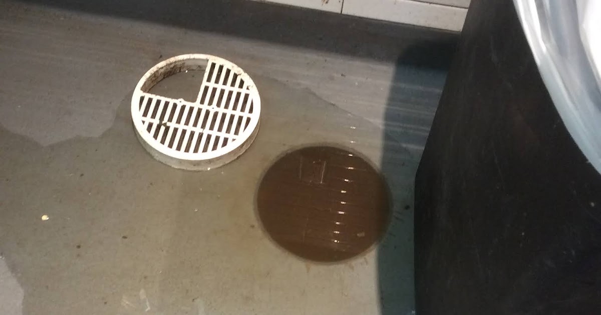 Floor Drain Emergency