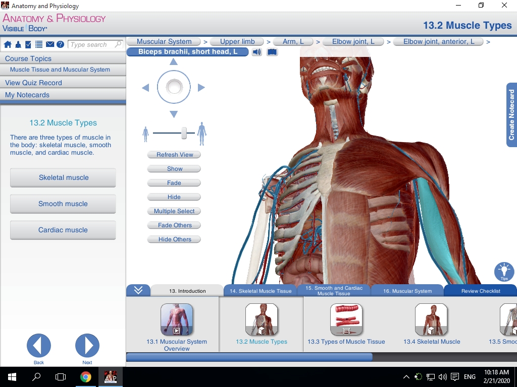 complete anatomy full free download windows