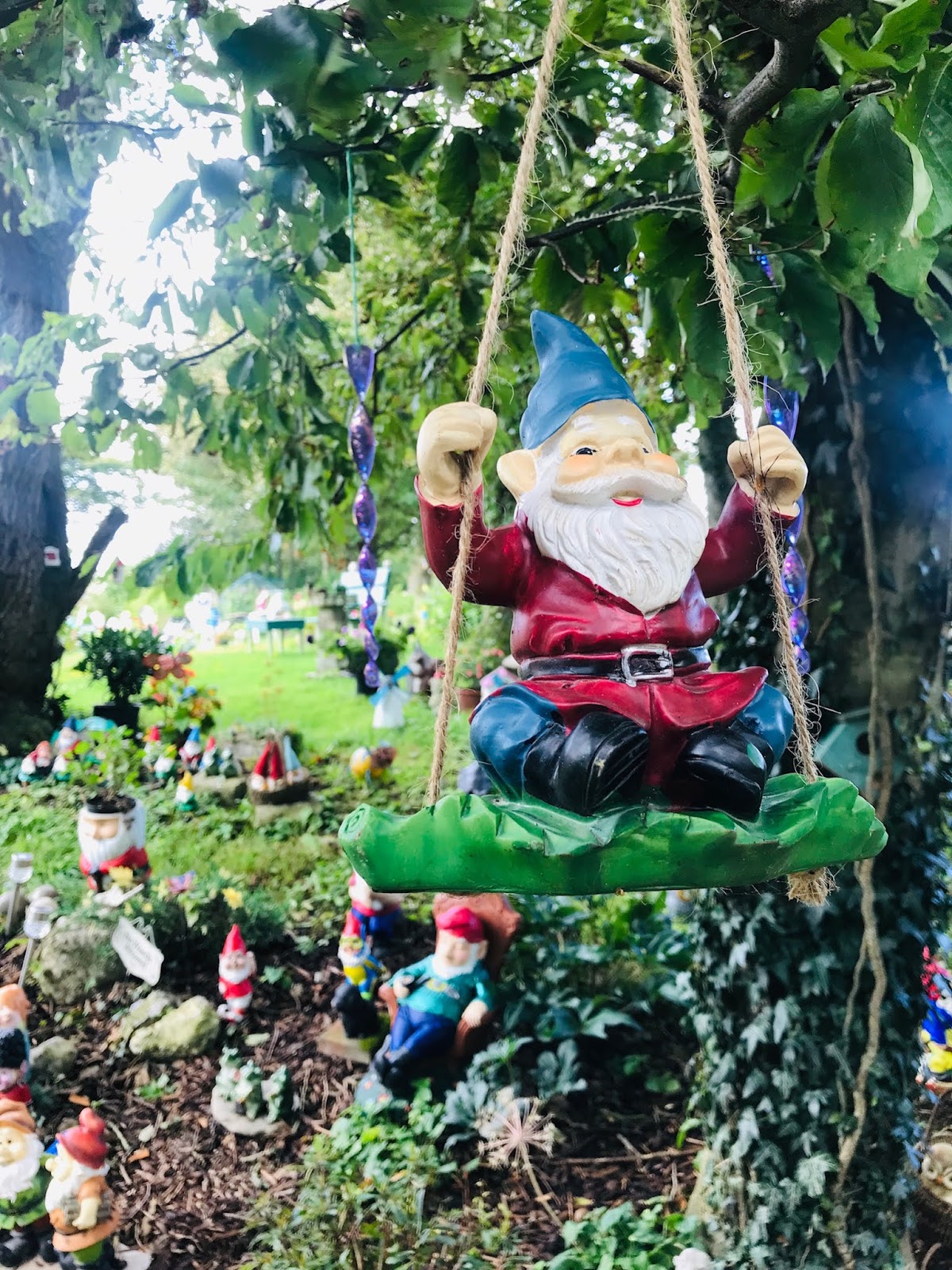 Beanstalk Tea Garden