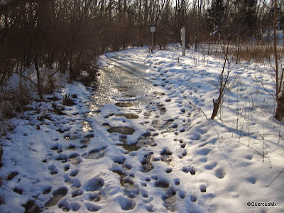 Snow and ice in Wabash Heritage Trail