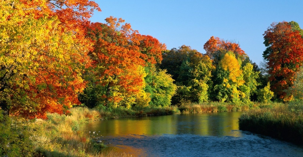 Mi clase y yo: PINCELADAS DE OTOÑO