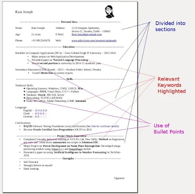 How To Write A Perfect Fresher Techie Resume?