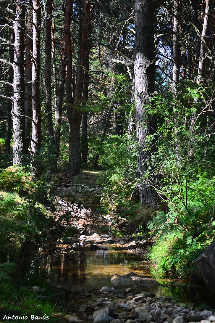 APRENDIENDO CON LA VISTA En el valle de las mariposas