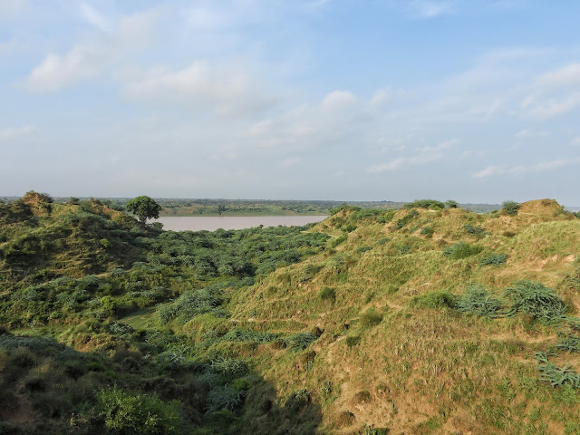 Chambal River Walk
