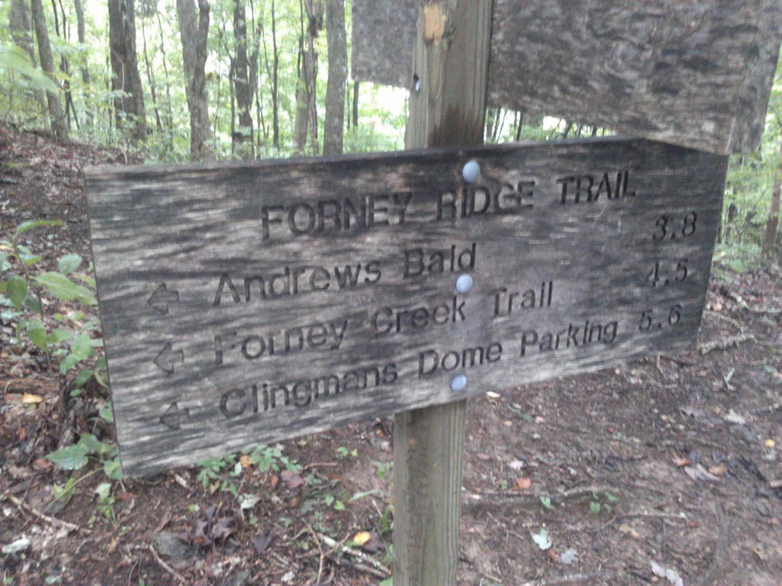 Hikes: Forney Ridge - Springhouse- Forney Creek - Whiteoak - Lakeshore ...