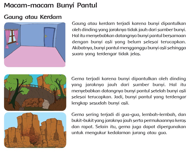 Bunyi Dan Indera Pendengaran Belajar Bersama Guru Bunyi Dan Indera Pendengaran Belajar Bersama Guru