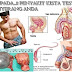 7 Macam Penyebab Testis Bengkak yang Perlu Diwaspadai Oleh Anda