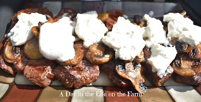 Grilled New York Strip Steaks with Caramelized Mushrooms and Burrata
