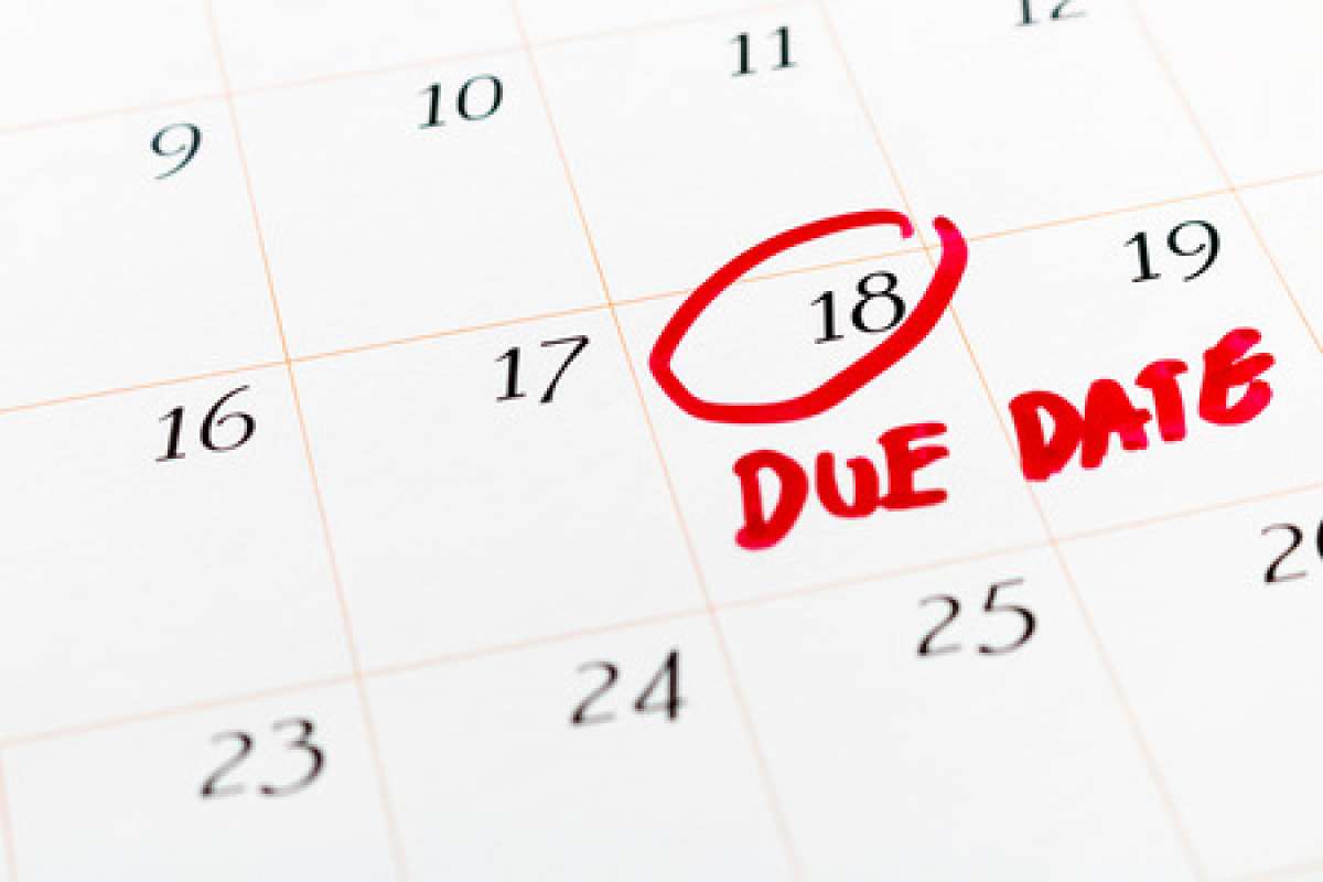 conception to due date month conception to due date month