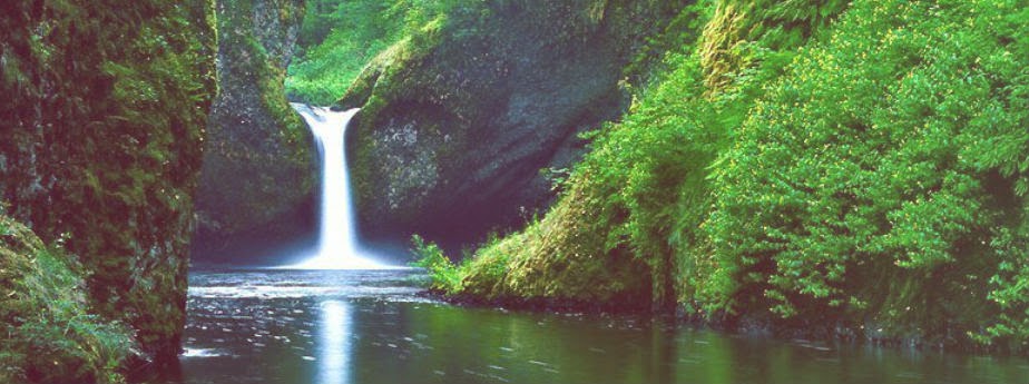 CrC: La Naturaleza y su vida