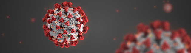 3D model of the new coronavirus.