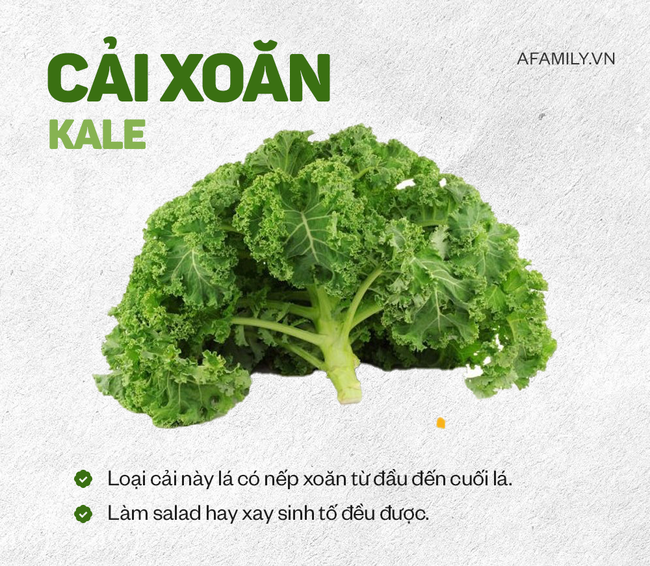 Cải xoăn/ cải Kale