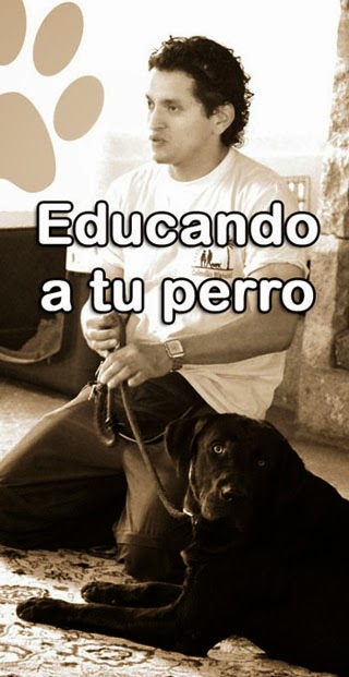 EDUCANDO A TU PERRO