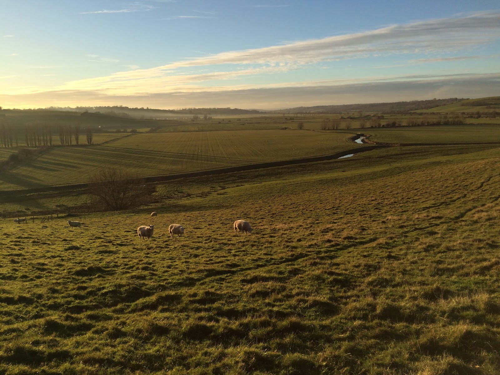 USEFUL or BEAUTIFUL Rest cure