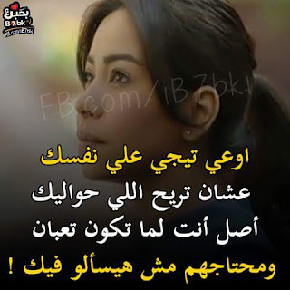 shof_b20d38a05d9533e
