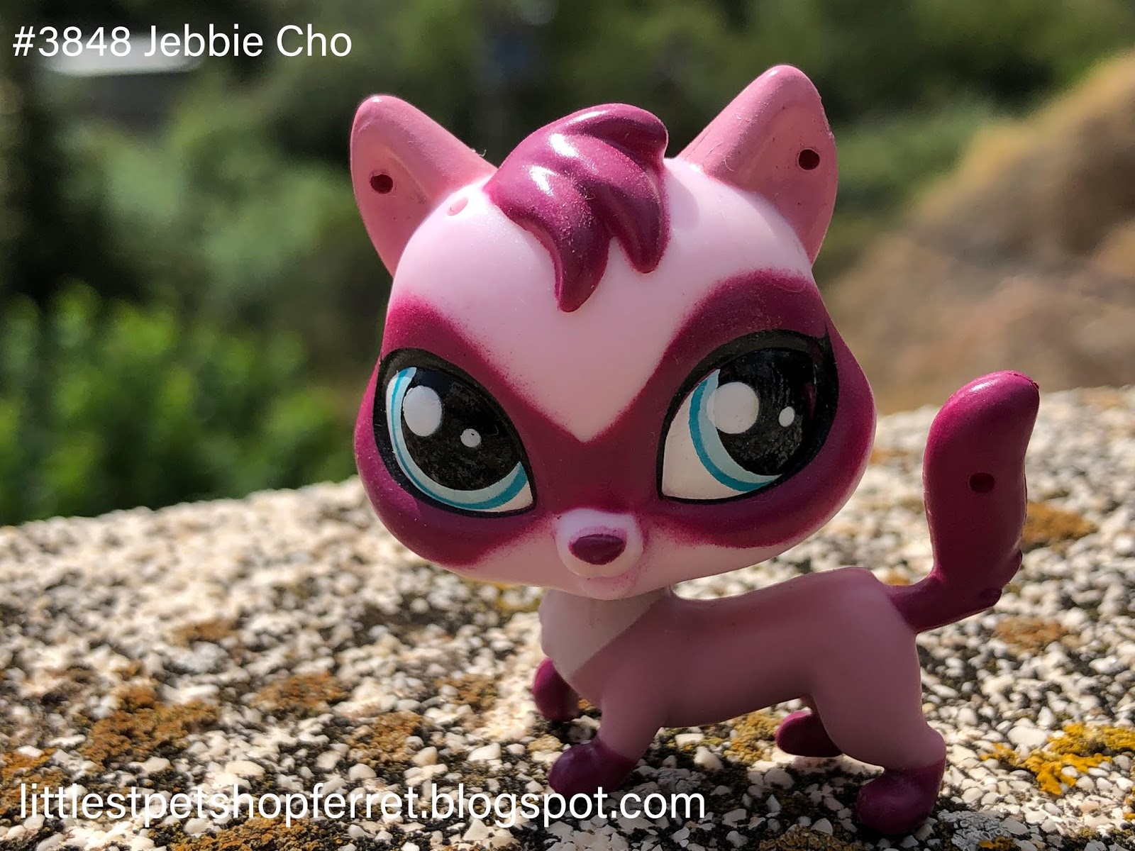 Littlest Pet Shop colección hurones. LPS Ferret 3848 "Jebbie Cho"