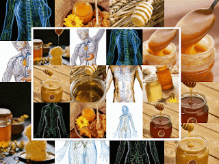 воздействие мёда на лимфу