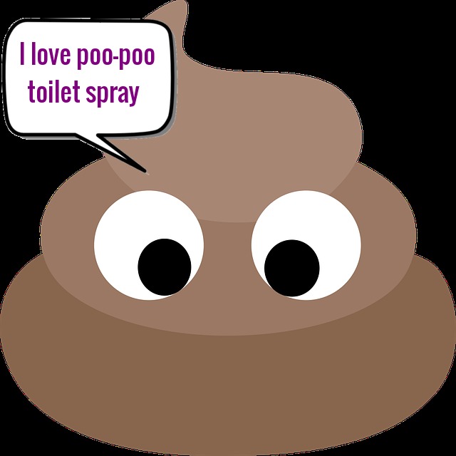 DIY Make your Own PooPoo Toilet Spray Hello Green Beauty