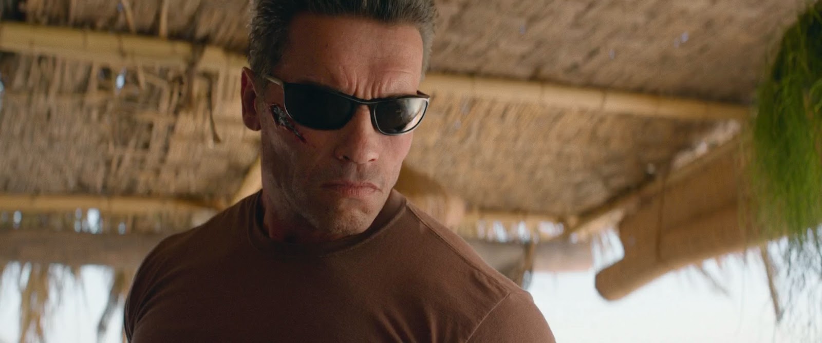 Terminator+Destino+oculto+%282019%29+HD+1080p+WEB-DL+Latino+-+Ingles+-+Descargatepelis.com.mkv_snapshot_00.03.47_%5B2020.01.14_01.10.27%5D.jpg (1600×668)