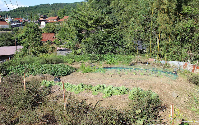 カルスト大地が生んだ不思議な集落？美祢の奥地の江原ウバーレ集落【y】　ドリーネ 石灰岩 秋吉台