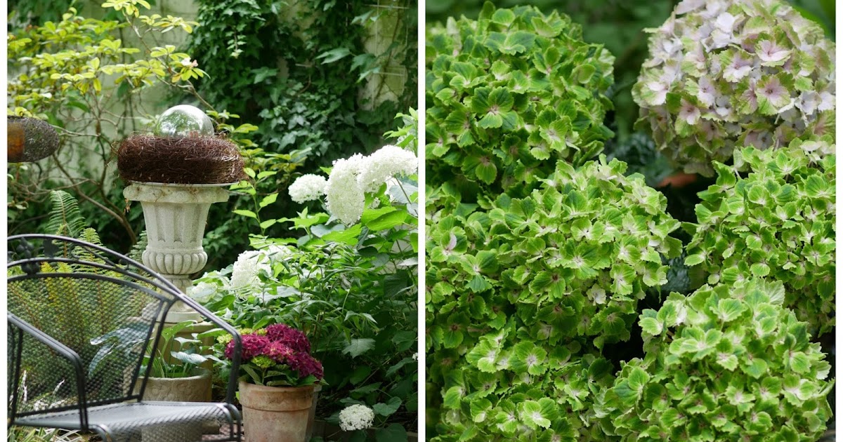 Lovely Flowers Ein Blumen Workshop In Munchen Mit Anastasia