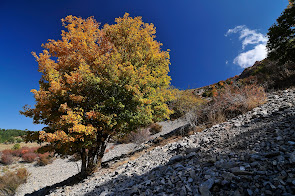 Otoño en el Trevenque