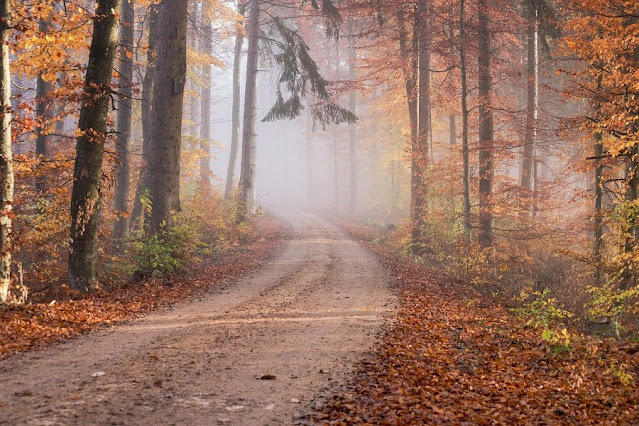 autunno toscana