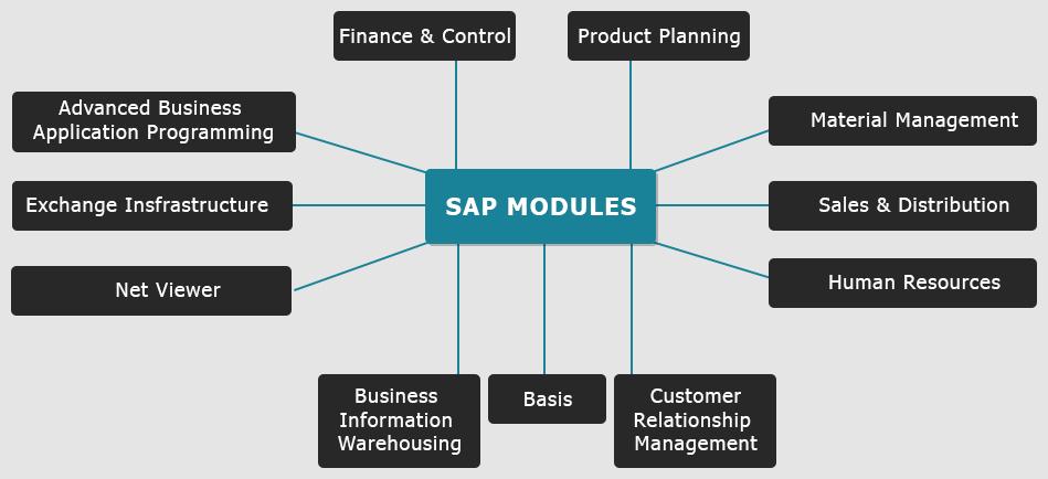 Difference between SAP Technical and Functional Modules - SAP Technical ...