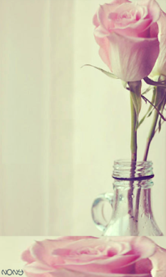 خلفيات ناعمة وهادئة 2018 صور رمزيات رقيقة جدا للبنات