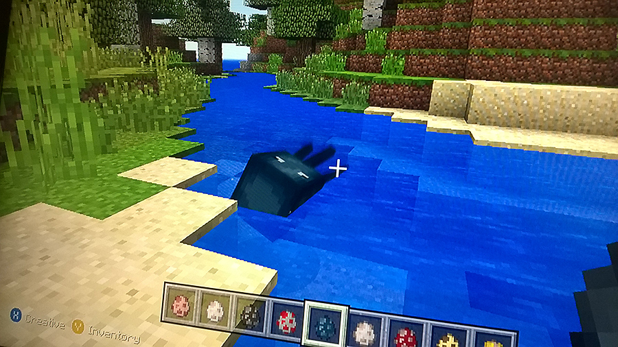 How To Tame Dolphins In Minecraft