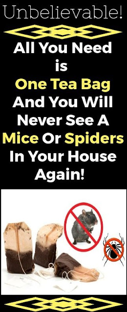 Unbelievable! All You Need Is One Tea Bag And You Will Never See A Mice Or Spiders In Your House Again!