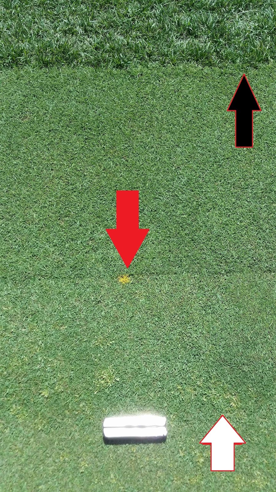 Franklin County Country Club Golf Course Management Yellow Dots on Greens