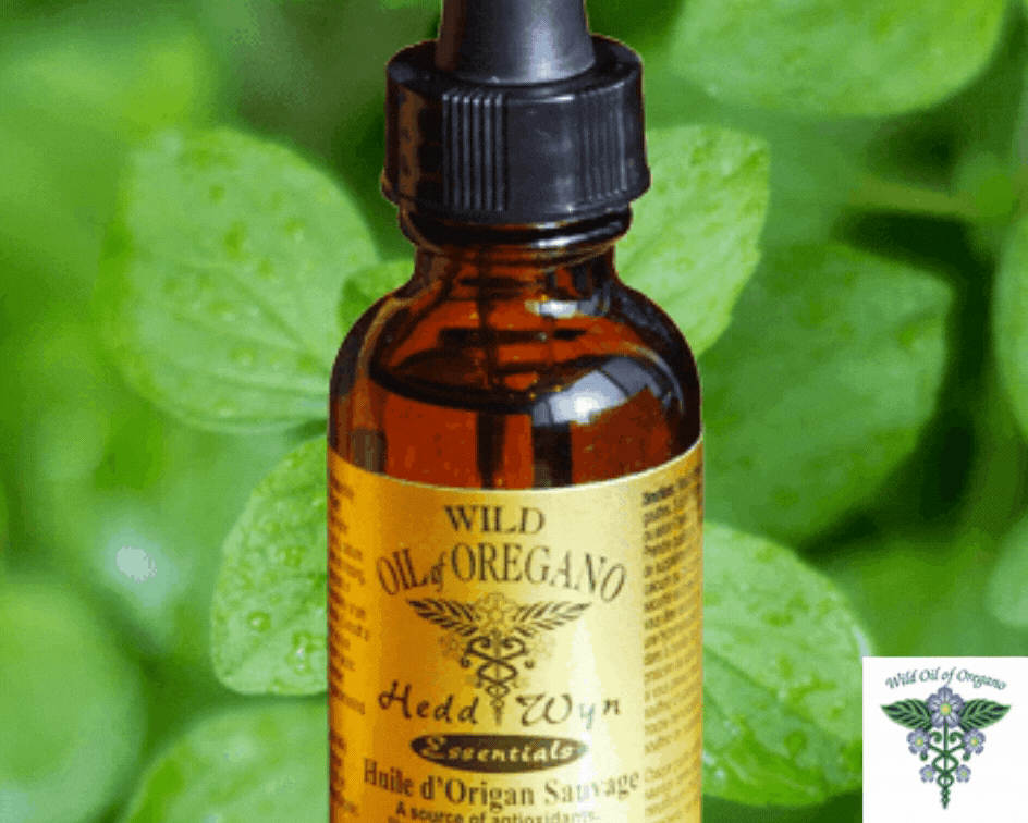 Wild Mediterranean Oregano Oil Wild Mediterranean Oregano Oil