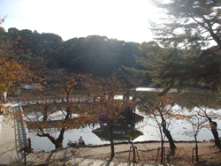 Mengunjungi Nara, Jepang, Kota Tua yang Misterius dan Bersejarah Taman Nara, Nara, Jepang
