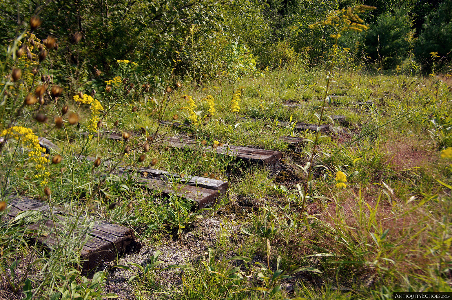 Frontier Town - The Remains of the Frontier Town Train Tracks