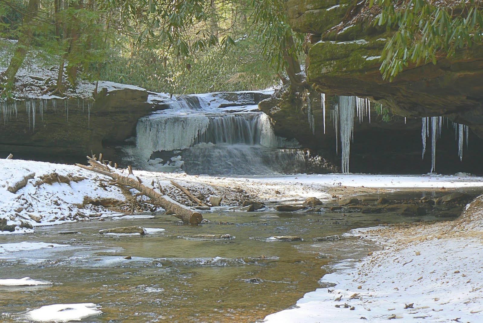 Dispatches from the Wild World Kentucky's Red River