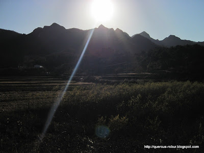 Atardecer en Jianshuikeng