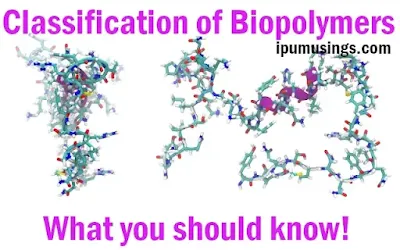 Classification of Biopolymers - What you should know!  (#biochemistry)(#biotechnology)(#ipumusings)(#biopolymers)